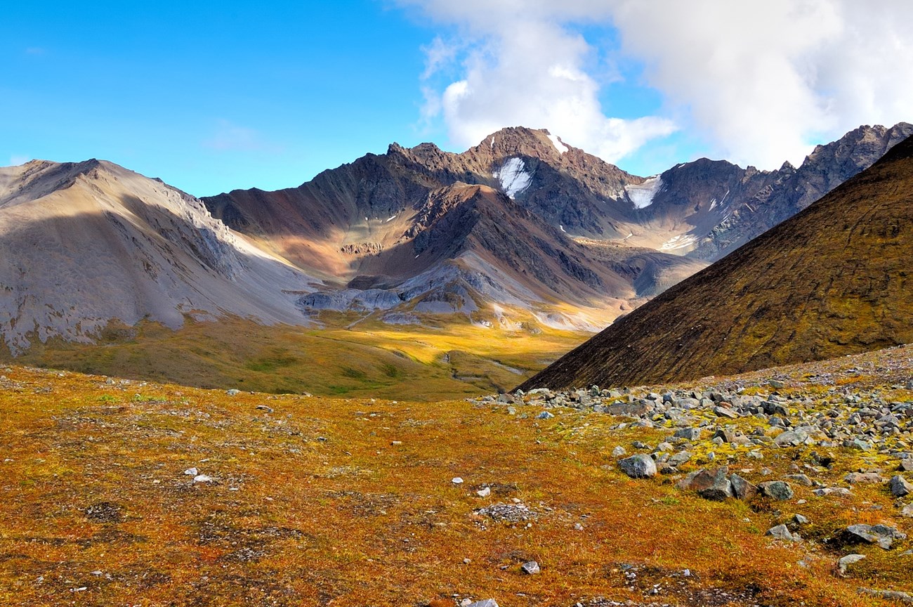 Mountain valley view in the Wrangell-St. Elias Wilderness.